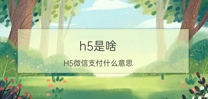 h5是啥 H5微信支付什么意思？